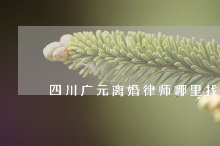 四川广元离婚律师哪里找