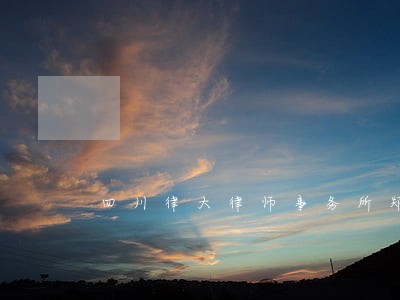 四川律大律师事务所郑维炀