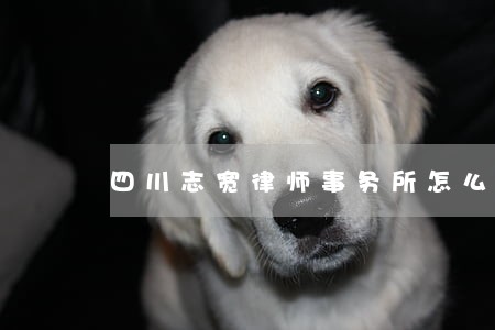 四川志宽律师事务所怎么样 四川志宽律师事务所怎么样