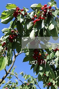 四川成都交通违法上传图片