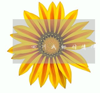 四川成都付倩律师 四川成都付倩律师