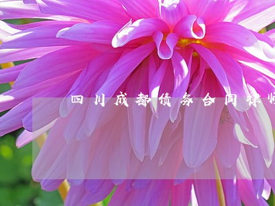 四川成都债务合同律师咨询网 四川成都债务合同律师咨询网