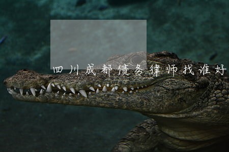 四川成都债务律师找谁好 四川成都债务律师找谁好
