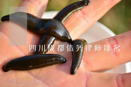 四川成都债务律师排名 四川成都债务律师排名