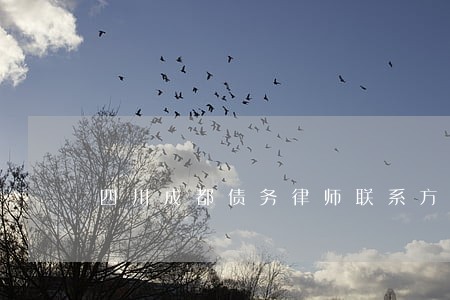 四川成都债务律师联系方式 四川成都债务律师联系方式