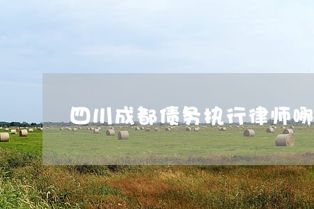 四川成都债务执行律师哪个好 四川成都债务执行律师哪个好