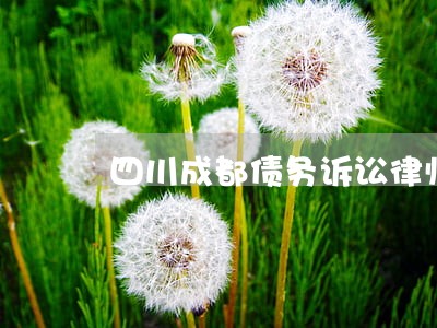 四川成都债务诉讼律师在线解答 四川成都债务诉讼律师在线解答