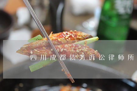 四川成都债务诉讼律师所 四川成都债务诉讼律师所