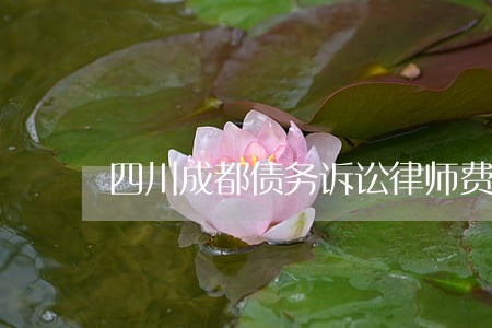 四川成都债务诉讼律师费用咨询 四川成都债务诉讼律师费用咨询
