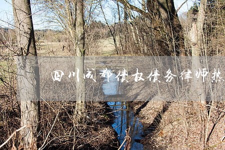 四川成都债权债务律师热线 四川成都债权债务律师热线