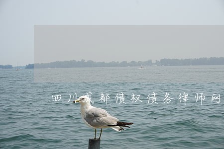 四川成都债权债务律师网站 四川成都债权债务律师网站