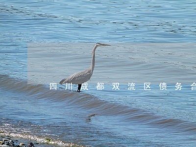 四川成都双流区债务合同律师 四川成都双流区债务合同律师