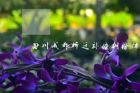 四川成都拆迁补偿纠纷律师多少钱