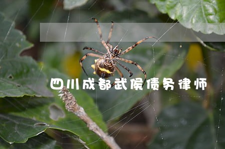 四川成都武侯债务律师