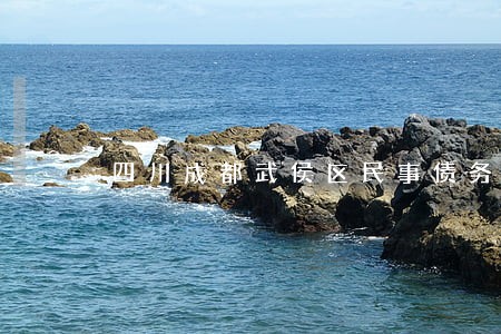 四川成都武侯区民事债务律师 四川成都武侯区民事债务律师