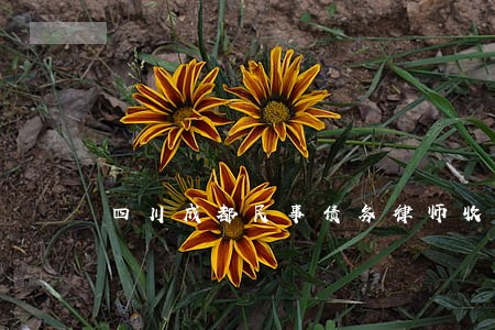四川成都民事债务律师收费标准 四川成都民事债务律师收费标准