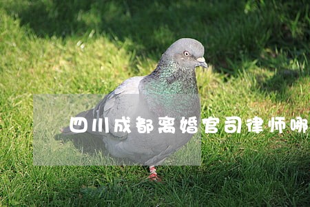四川成都离婚官司律师哪个好 四川成都离婚官司律师哪个好
