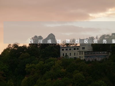 四川成都郫都区债务案办理律师 四川成都郫都区债务案办理律师