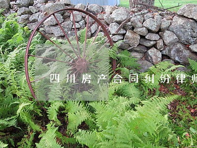 四川房产合同纠纷律师 四川房产合同纠纷律师