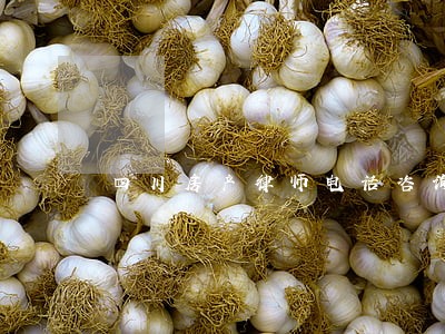 四川房产律师电话咨询 四川房产律师电话咨询