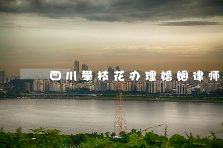 四川攀枝花办理婚姻律师收费 四川攀枝花办理婚姻律师收费
