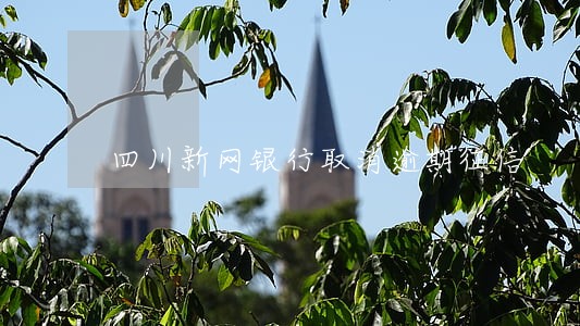 四川新网银行取消逾期征信 四川新网银行取消逾期征信