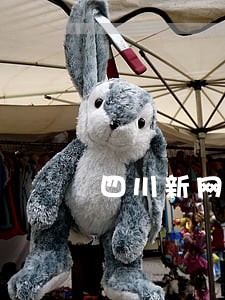 四川新网银行逾期再借款