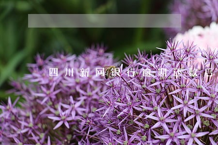 四川新网银行逾期还款后果 四川新网银行逾期还款后果