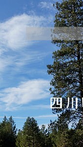 四川明年立法项目69件候选 四川明年立法项目69件候选