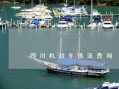 四川机动车违法查询