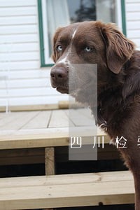 四川检验合同纠纷律师 四川检验合同纠纷律师