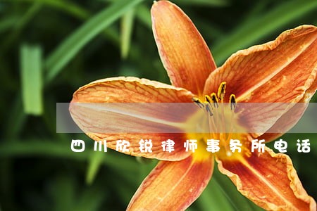 四川欣锐律师事务所电话 四川欣锐律师事务所电话