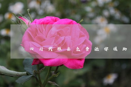 四川武胜县免费法律援助 四川武胜县免费法律援助