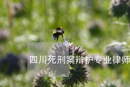 四川死刑案辩护专业律师 四川死刑案辩护专业律师