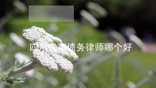 四川民事债务律师哪个好