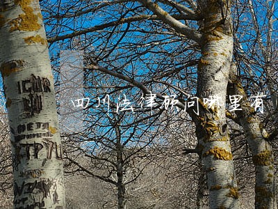 四川法律顾问哪里有 四川法律顾问哪里有