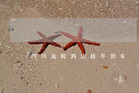 四川法院判决找不到车 四川法院判决找不到车