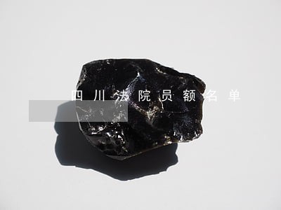 四川法院员额名单