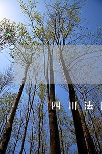 四川法院工招考试试题 四川法院工招考试试题