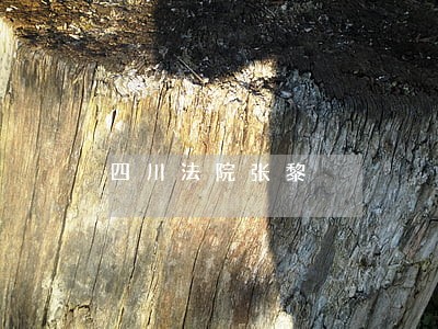 四川法院张黎 四川法院张黎