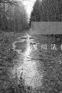四川法院最新招聘