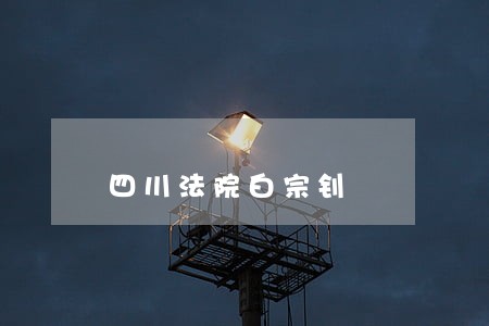 四川法院白宗钊