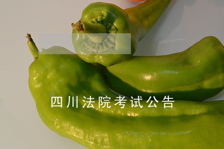 四川法院考试公告