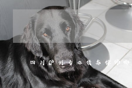 四川泸州专办债务律师哪里找 四川泸州专办债务律师哪里找
