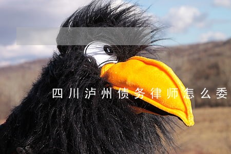 四川泸州债务律师怎么委托 四川泸州债务律师怎么委托