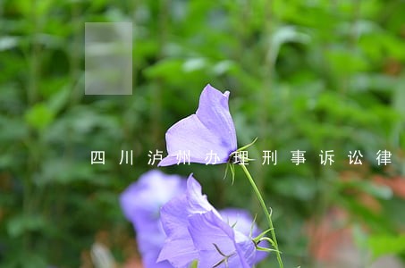 四川泸州办理刑事诉讼律师费用