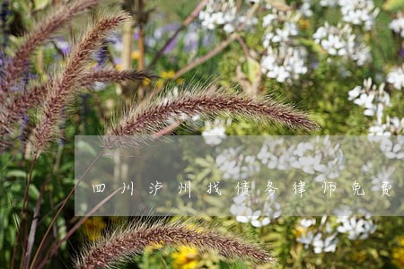 四川泸州找债务律师免费咨询 四川泸州找债务律师免费咨询
