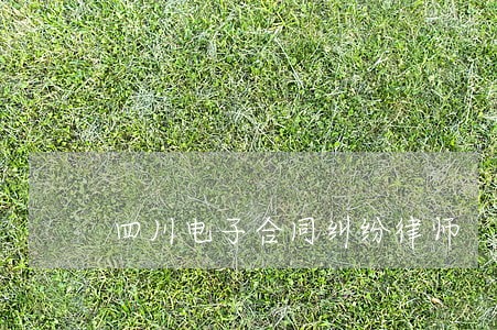 四川电子合同纠纷律师 四川电子合同纠纷律师