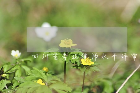 四川省专业律师水平评审 四川省专业律师水平评审