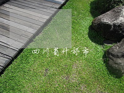 四川省什邡市 四川省什邡市